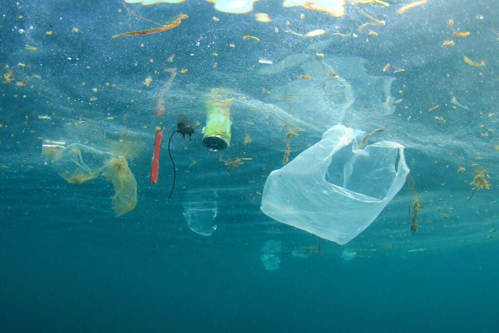 Busta di plastica in mare